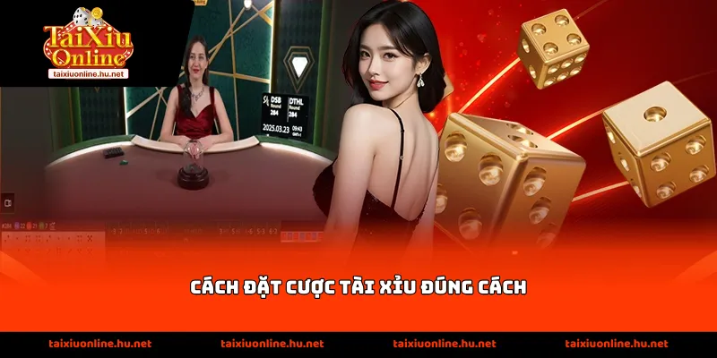 cach dat cuoc tai xiu dung cach